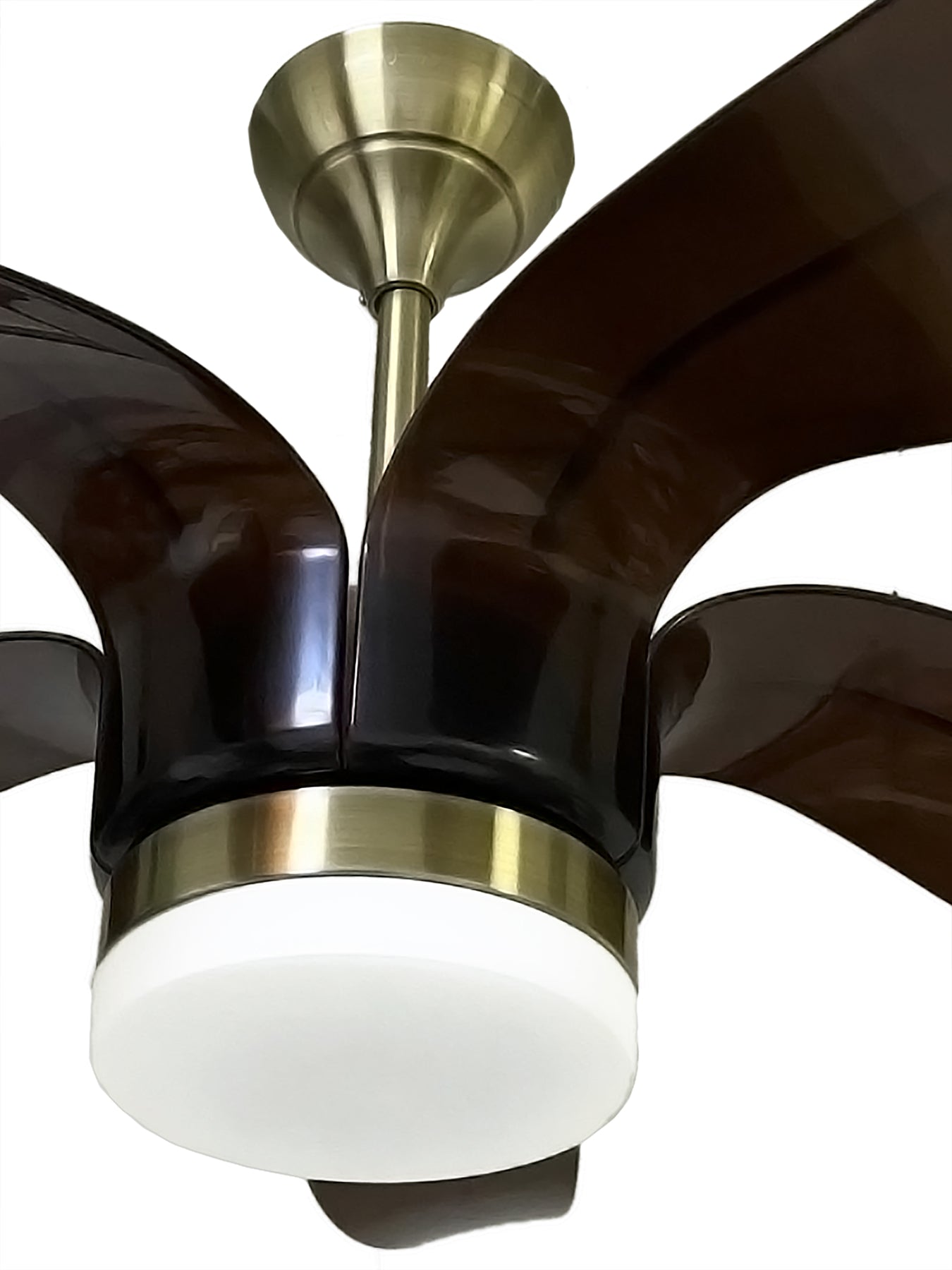 FNC-335 Brown